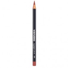 Карандаш для губ Lip Contour Pencil №460 ViStudio